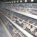 Pullet Chicken Cage Wire Mesh